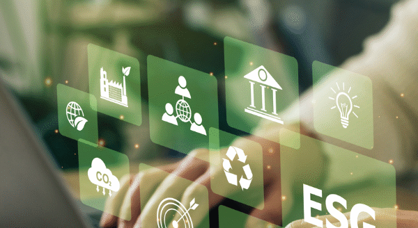 How Digital Technology Enables Sustainability