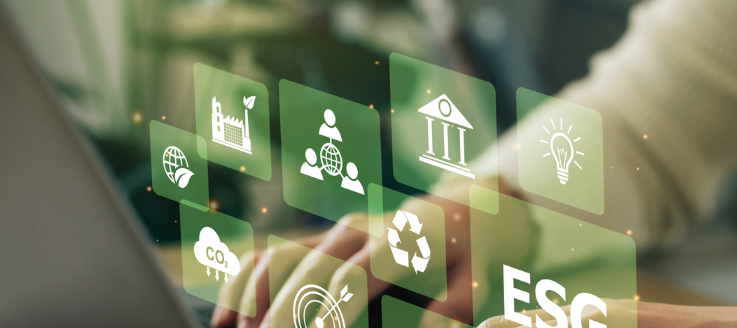 How Digital Technology Enables Sustainability